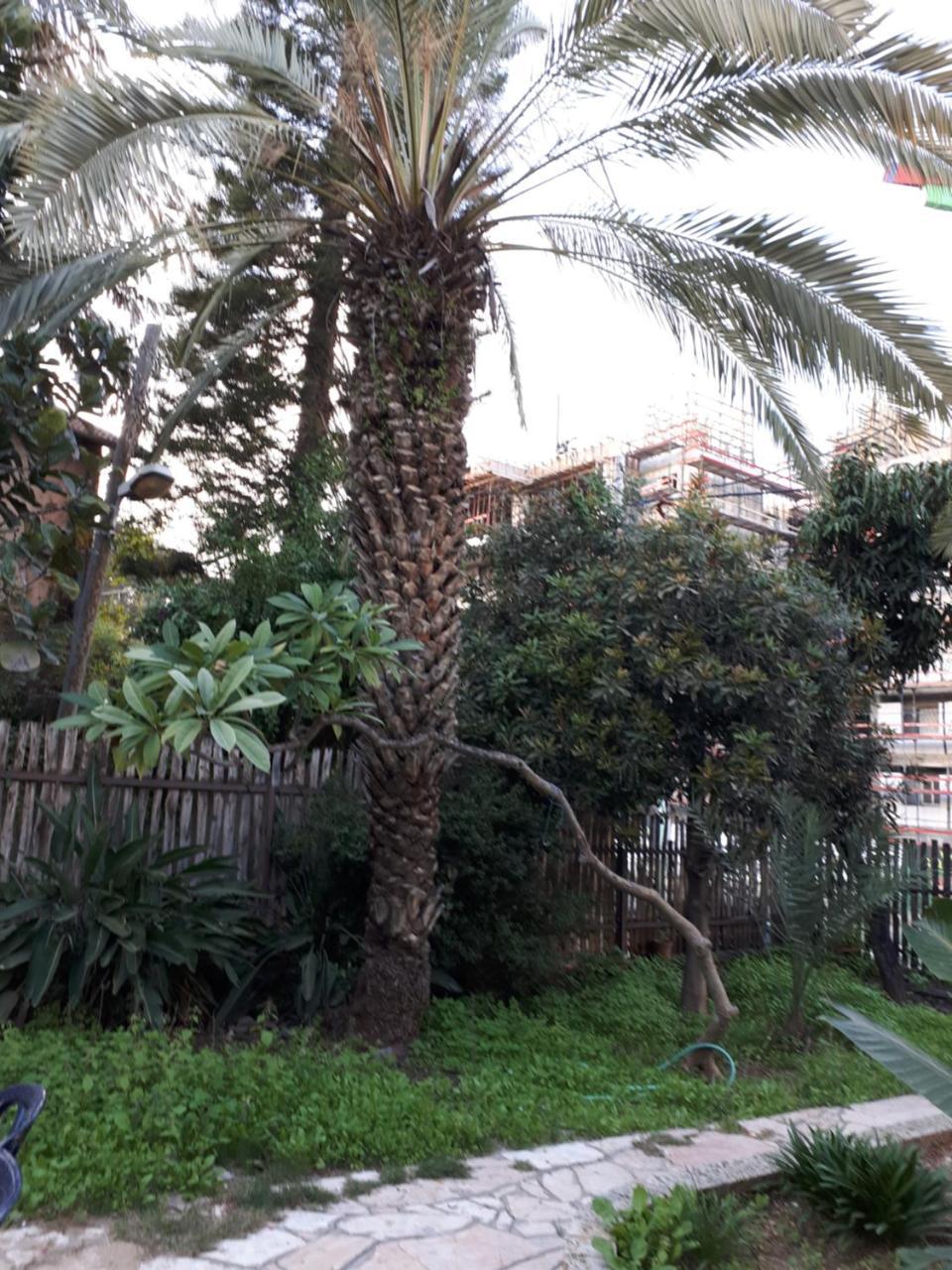 Etty'S House 호텔 Petach Tikva 외부 사진